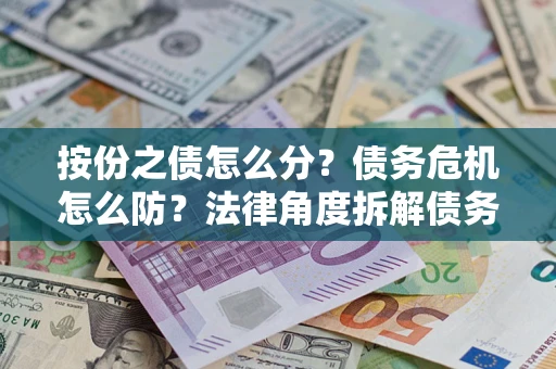 武汉按份之债怎么分？债务危机怎么防？法律角度拆解债务分配与风险自保指南