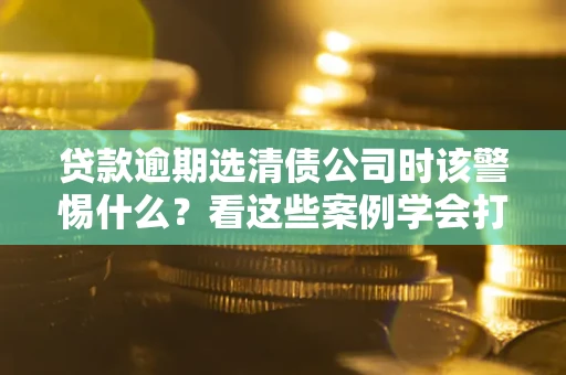 武汉贷款逾期选清债公司时该警惕什么？看这些案例学会打翻身仗