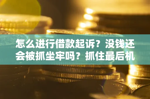武汉怎么进行借款起诉？没钱还会被抓坐牢吗？抓住最后机会！