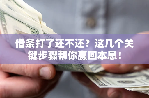 武汉借条打了还不还？这几个关键步骤帮你赢回本息！