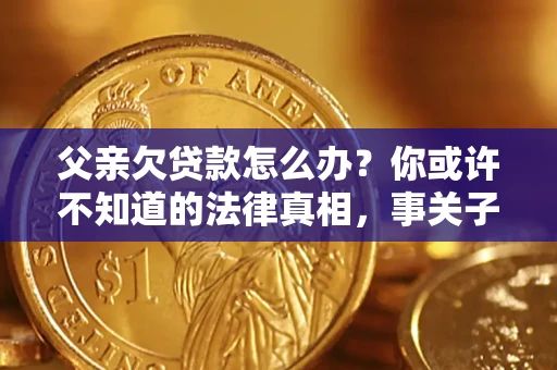武汉父亲欠贷款怎么办？你或许不知道的法律真相，事关子女未来