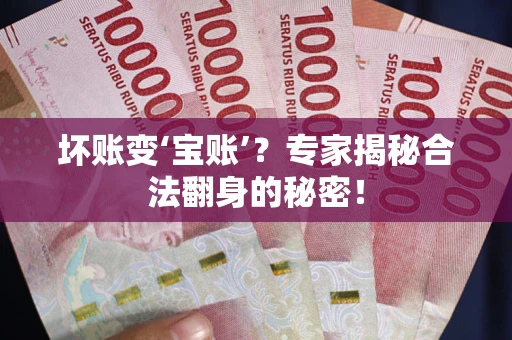 武汉坏账变‘宝账’？专家揭秘合法翻身的秘密！