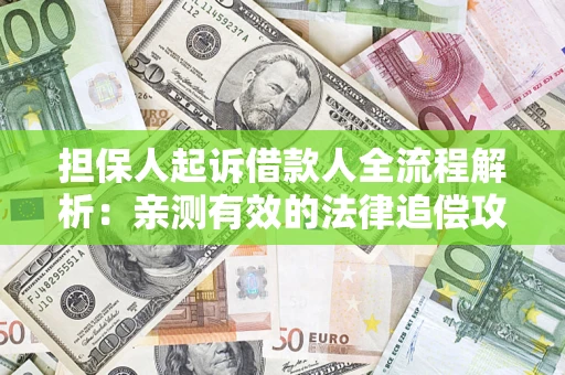 武汉担保人起诉借款人全流程解析：亲测有效的法律追偿攻略