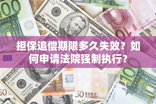 武汉担保追偿期限多久失效？如何申请法院强制执行？