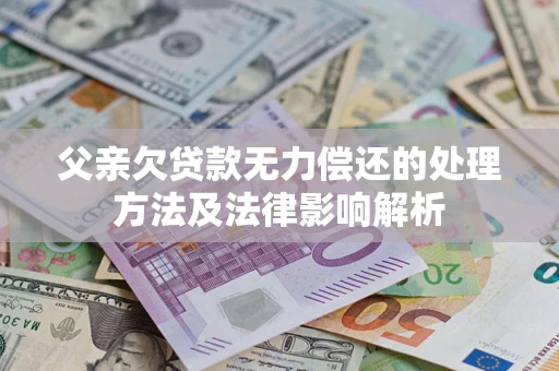 武汉父亲欠贷款无力偿还的处理方法及法律影响解析