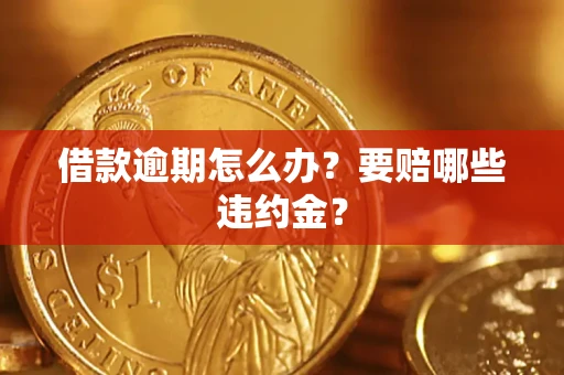 武汉借款逾期怎么办？要赔哪些违约金？