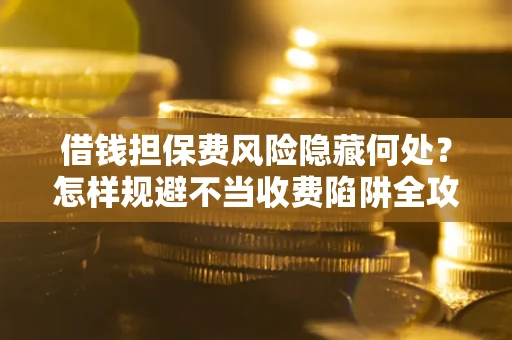 武汉借钱担保费风险隐藏何处？怎样规避不当收费陷阱全攻略！