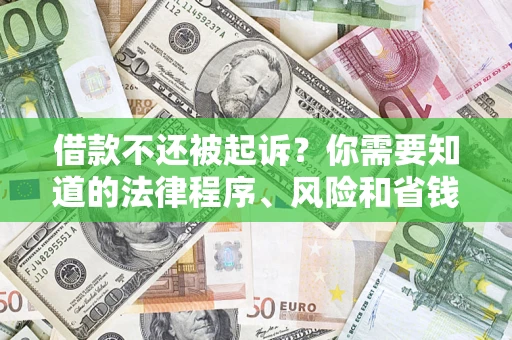 武汉借款不还被起诉？你需要知道的法律程序、风险和省钱技巧