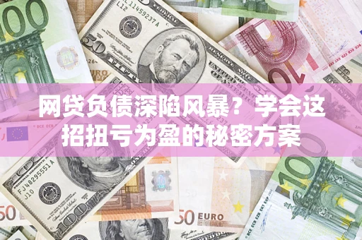武汉网贷负债深陷风暴？学会这招扭亏为盈的秘密方案